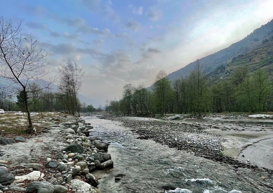 green trees near mountain under white clouds during daytime